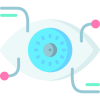 eye